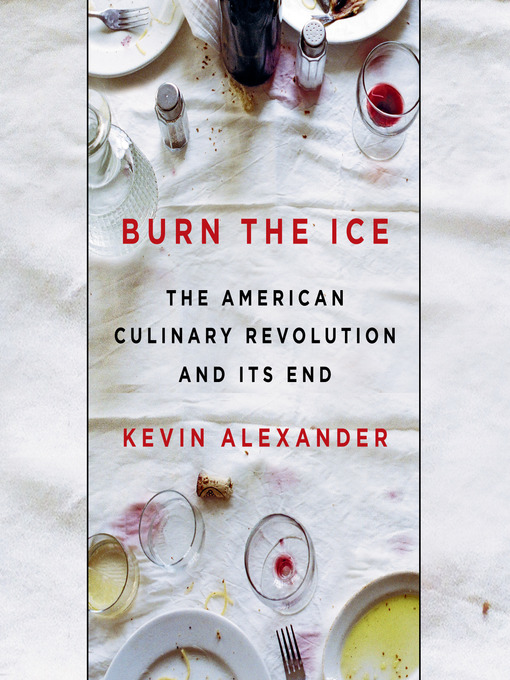 Title details for Burn the Ice by Kevin Alexander - Available
